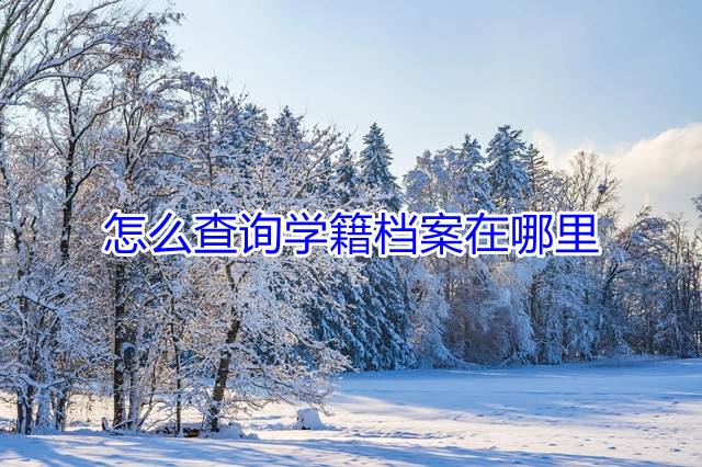 怎么查询学籍档案在哪里