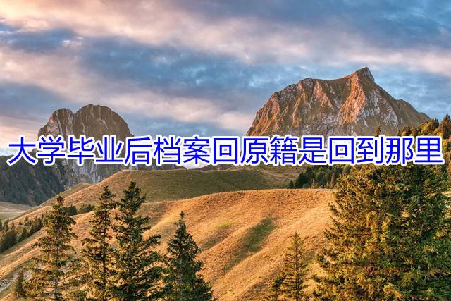 大学毕业后档案回原籍是回到那里