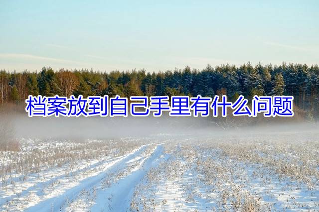 档案放到自己手里有什么问题