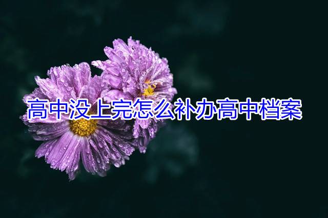 高中没上完怎么补办高中档案