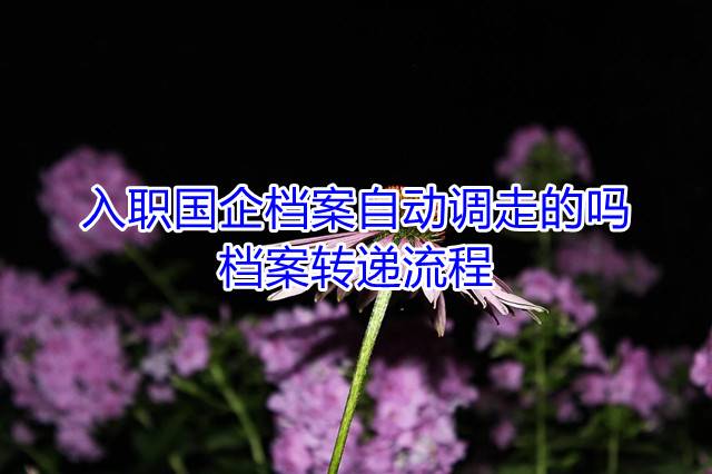 入职国企档案自动调走的吗，档案转递流程