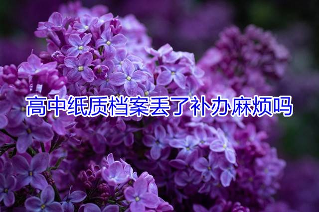 高中纸质档案丢了补办麻烦吗