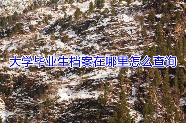 大学毕业生档案在哪里怎么查询