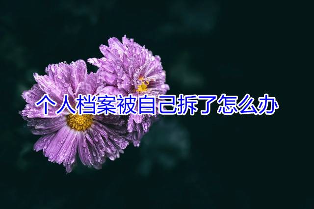 个人档案被自己拆了怎么办