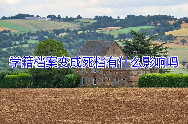 学籍档案变成死档有什么影响吗