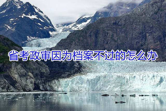 省考政审因为档案不过的怎么办