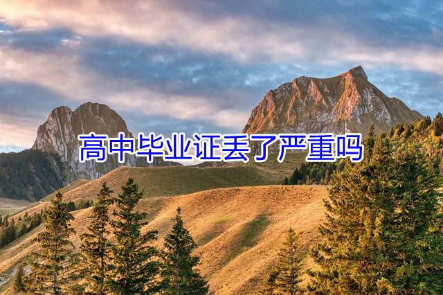 高中毕业证丢了严重吗