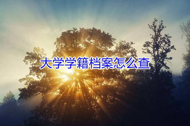 大学学籍档案怎么查