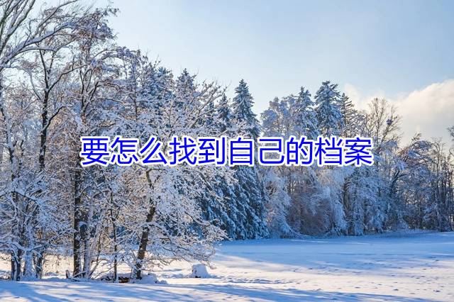 要怎么找到自己的档案