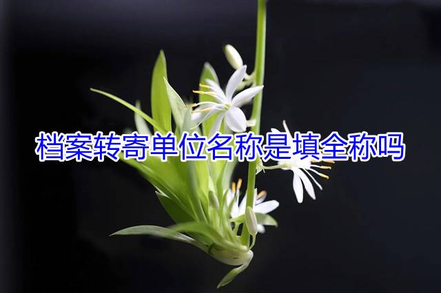 档案转寄单位名称是填全称吗