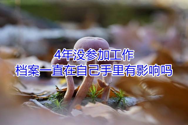 4年没参加工作，档案一直在自己手里有影响吗