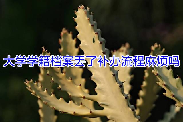 大学学籍档案丢了补办流程麻烦吗