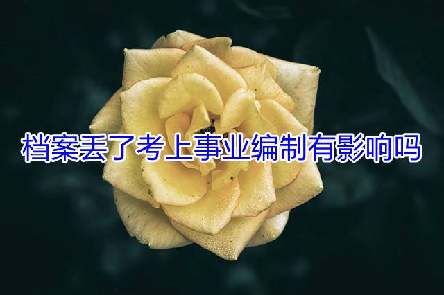 档案丢了考上事业编制有影响吗