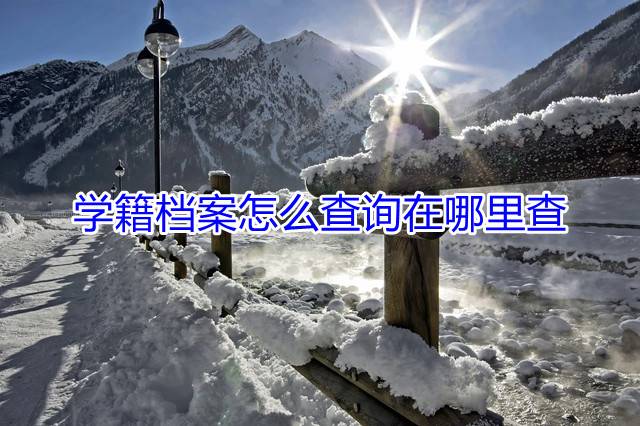 学籍档案怎么查询在哪里查