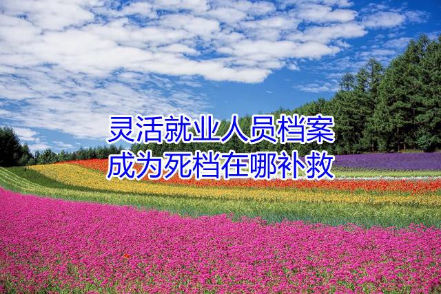 灵活就业人员档案成为死档在哪补救