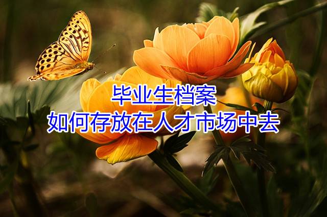 毕业生档案如何存放在人才市场中去