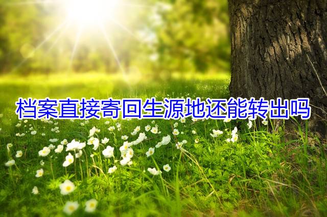 档案直接寄回生源地还能转出吗