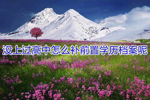 没上过高中怎么补前置学历档案呢