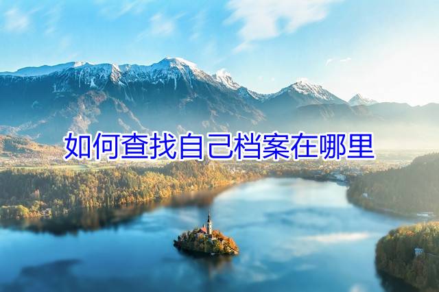 如何查找自己档案在哪里