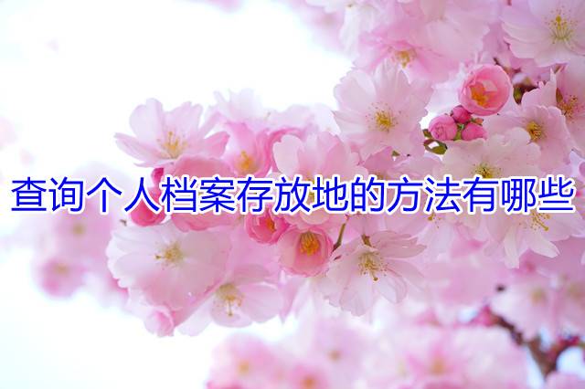查询个人档案存放地的方法有哪些