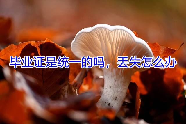 毕业证是统一的吗，丢失怎么办