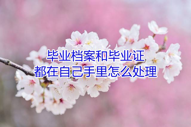 毕业档案和毕业证都在自己手里怎么处理