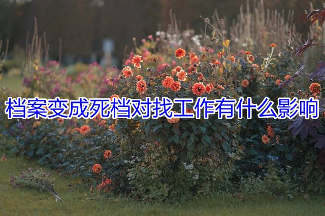 档案变成死档对找工作有什么影响