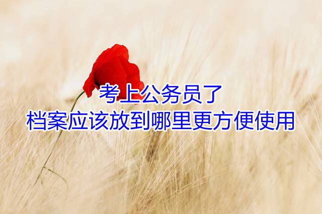 考上公务员了档案应该放到哪里更方便使用