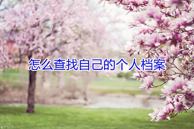 怎么查找自己的个人档案