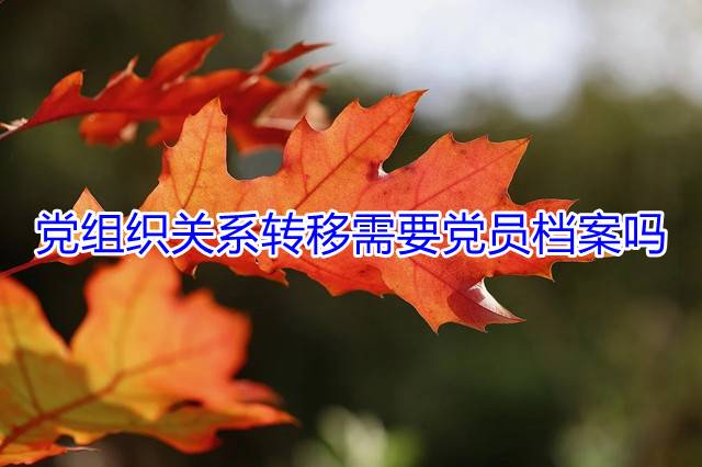 党组织关系转移需要党员档案吗