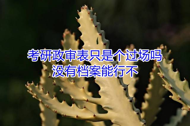 考研政审表只是个过场吗，没有档案能行不