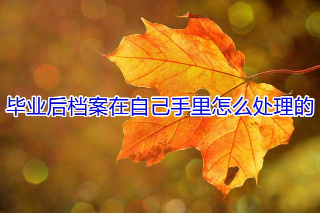 毕业后档案在自己手里怎么处理的