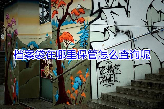 档案袋在哪里保管怎么查询呢