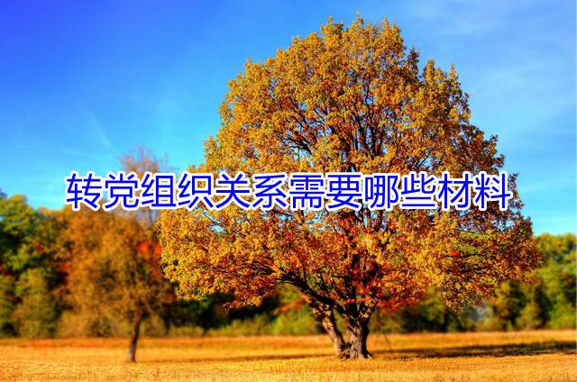转党组织关系需要哪些材料