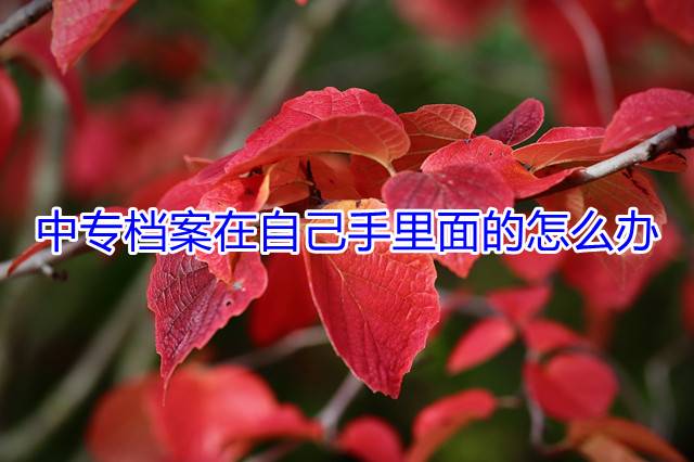 中专档案在自己手里面的怎么办