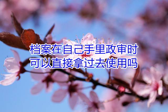 档案在自己手里政审时可以直接拿过去使用吗