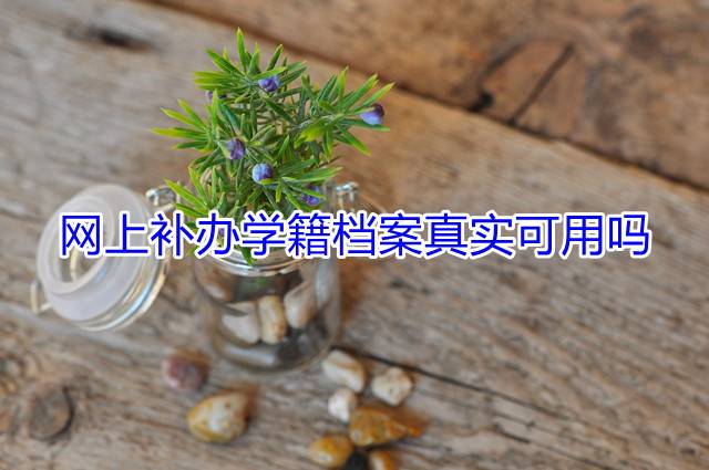 网上补办学籍档案真实可用吗