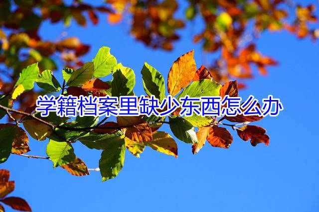 学籍档案里缺少东西怎么办