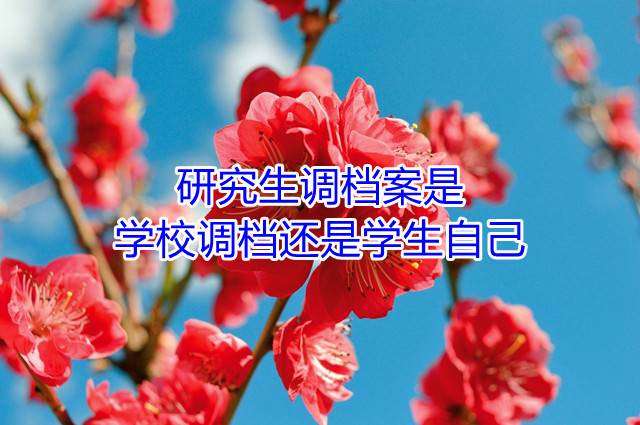 研究生调档案是学校调档还是学生自己