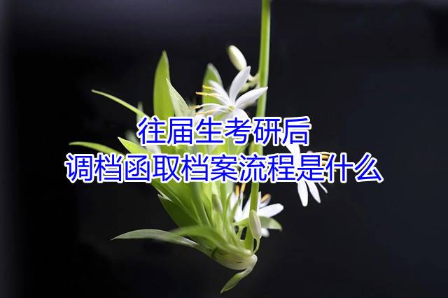 往届生考研后调档函取档案流程是什么