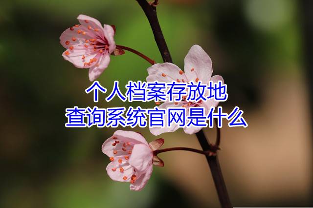 个人档案存放地查询系统官网是什么