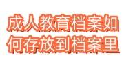 成人教育档案如何存放到档案里，人才市场接收吗