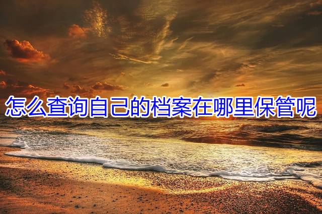 怎么查询自己的档案在哪里保管呢