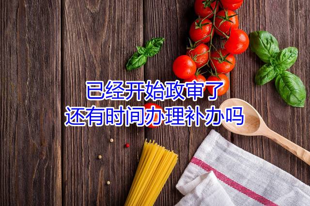 已经开始政审了，还有时间办理补办吗