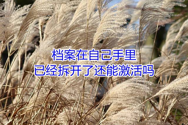 档案在自己手里已经拆开了还能激活吗