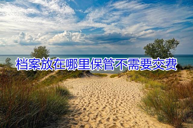 档案放在哪里保管不需要交费