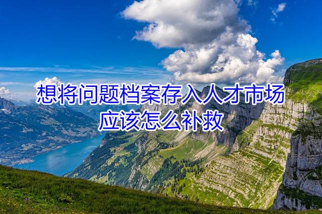 想将问题档案存入人才市场应该怎么补救