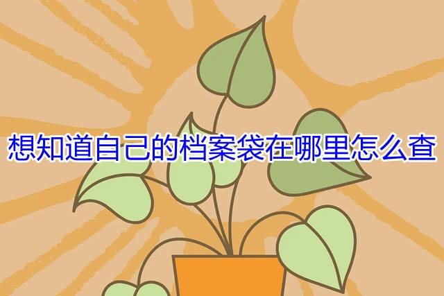 想知道自己的档案袋在哪里怎么查