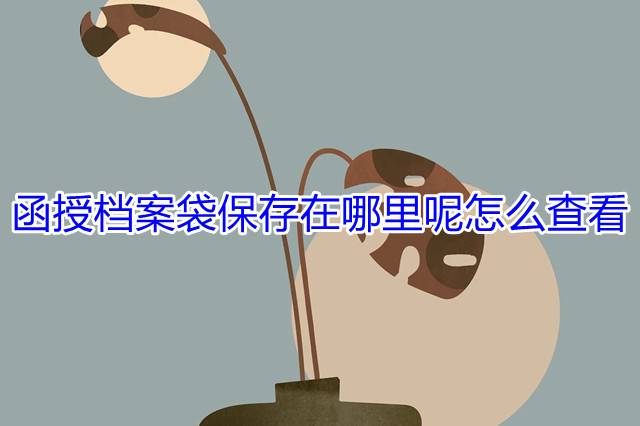 函授档案袋保存在哪里呢怎么查看