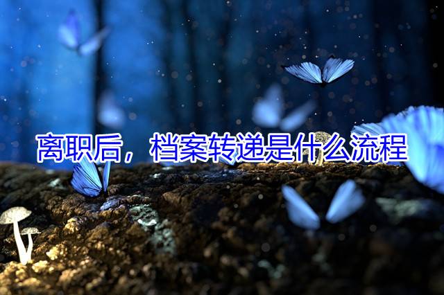 离职后，档案转递是什么流程